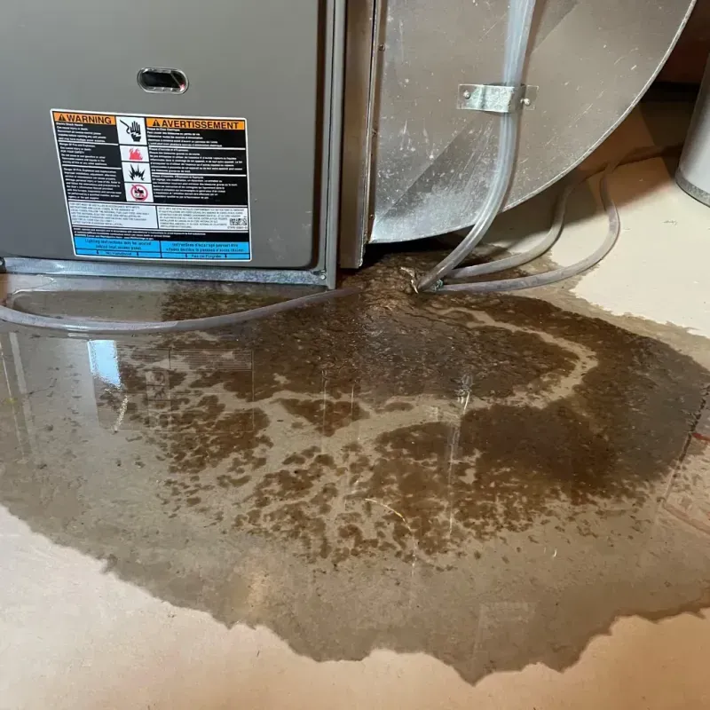 Appliance Leak Cleanup in Winthrop, ME